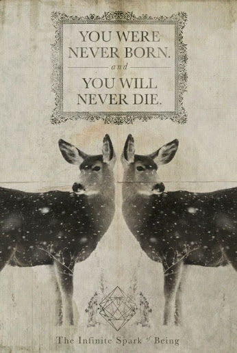 0acb58648e4c573a17784f41bf3a2d66