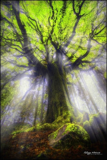 a65f9b1fdec829a03f6e0bee2348c897